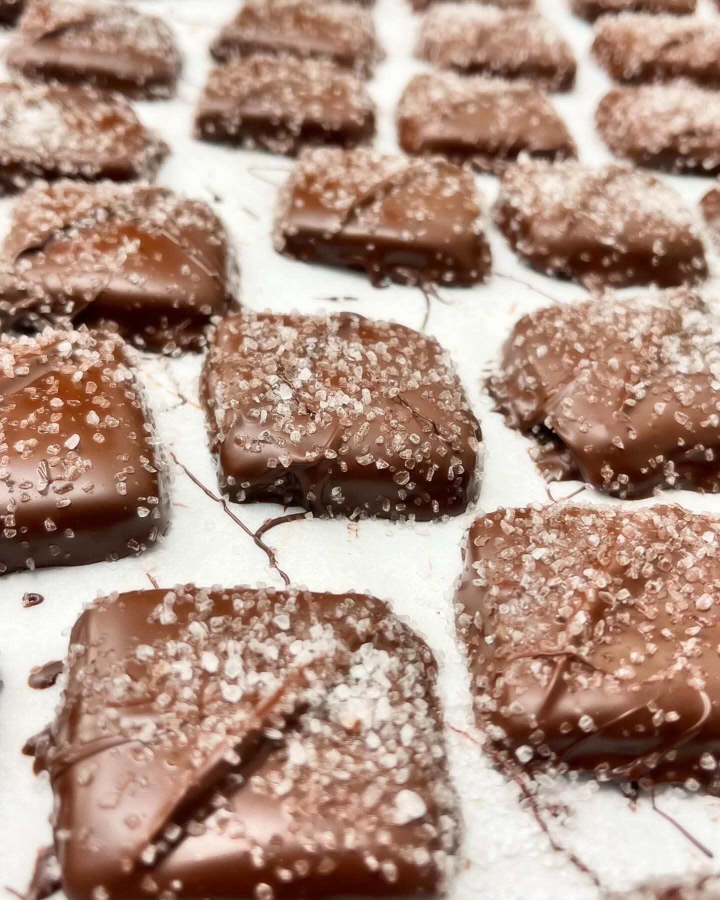 Chocolate Dipped