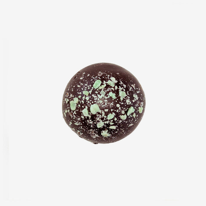Chocolate truffle with mint on a white background