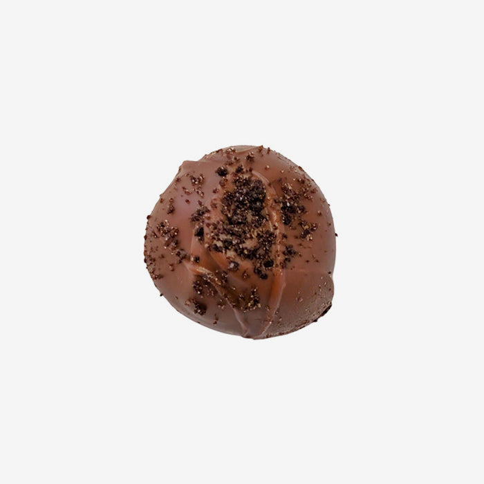 Chocolate truffle with cocoa powder on a white background